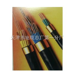 RVVP屏蔽軟電力電纜的技術(shù)特性與應(yīng)用分析